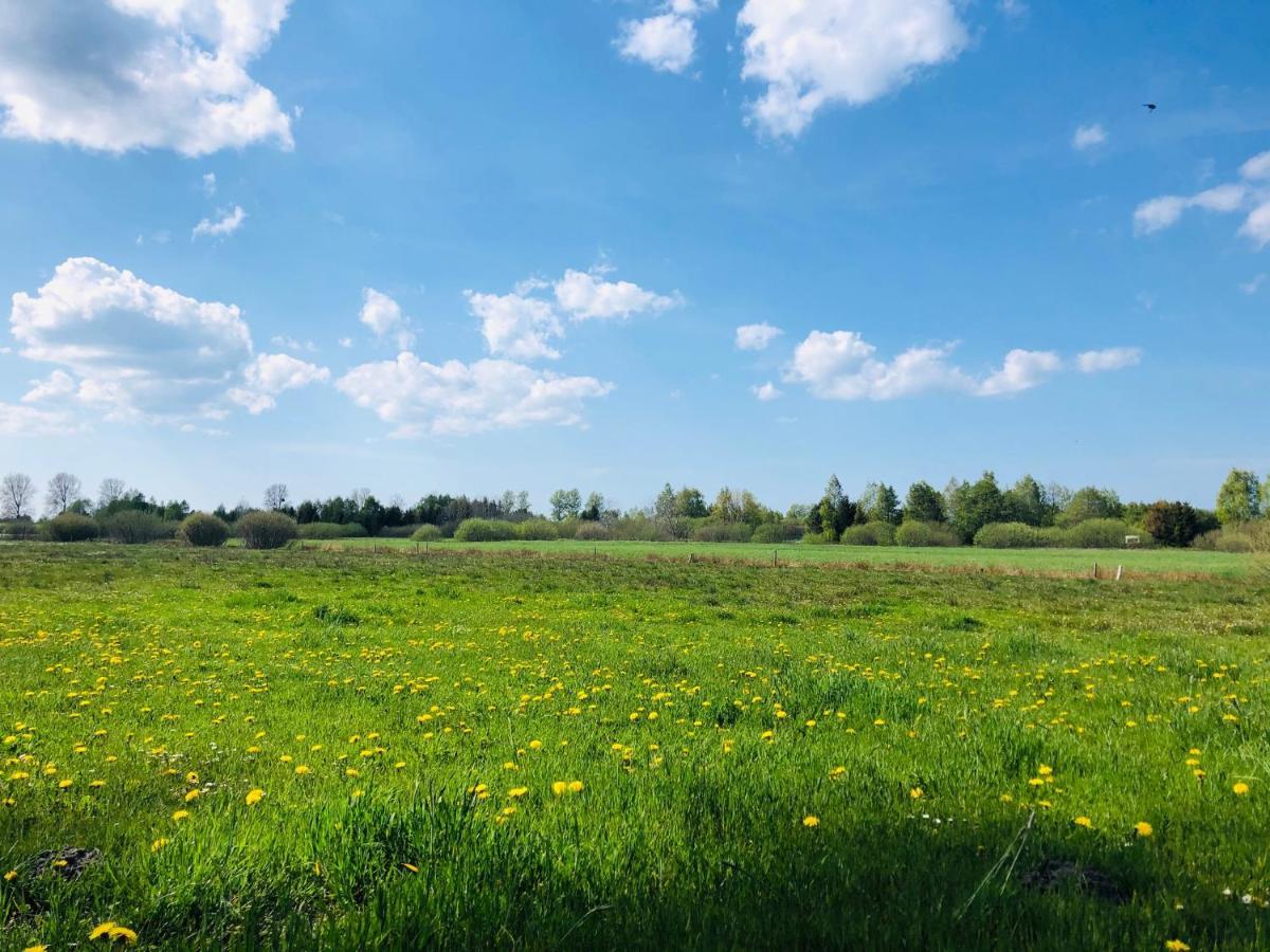 Domek Letniskowy Z Kortem Tenisowym Karwia Ostrowo 奥斯特罗沃 外观 照片